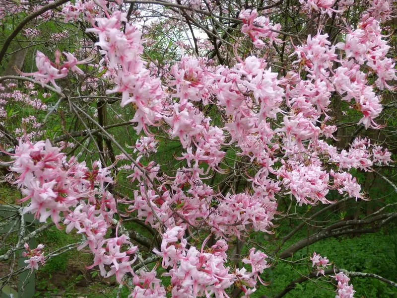 049